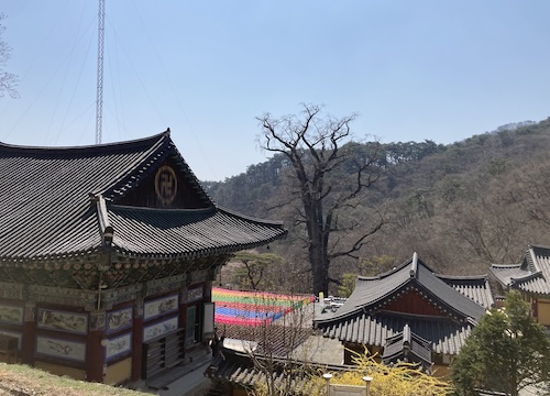 용문사(龍門寺)